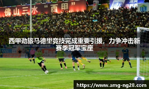 西甲劲旅马德里竞技完成重要引援，力争冲击新赛季冠军宝座